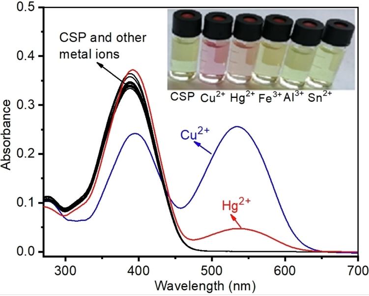 Chemical Tools for Detecting Fe Ions